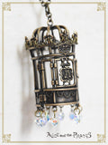 P21AC050 Raum's Birdcage Necklace