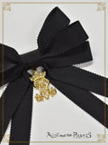 P21HA932 Multiple Ribbon Clips