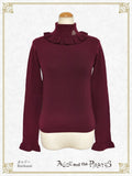 P21PO103 A/P Embroidered Turtleneck Frill Pullover
