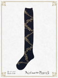 P21SC813 A/P Lace Up Rose Over Knee Socks
