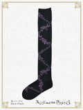 P21SC815 A/P Lace Up Rose Over Knee Socks