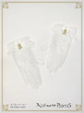 P22CF001 A/P Short Lace Gloves